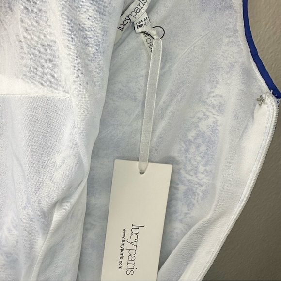 NWT Lucy Paris V Neck Velvet Trimmed Blue Printed Dress - Picture 6 of 8